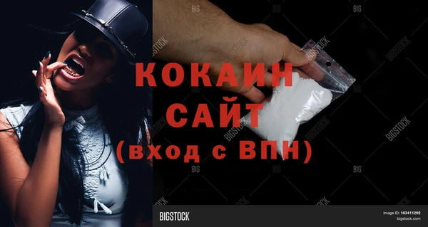 прущие грибы Лихославль