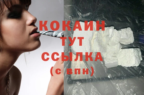 прущие грибы Лихославль