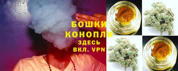 прущие грибы Лихославль