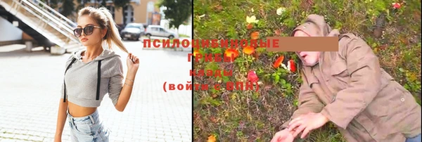 синтетический гашиш Бородино